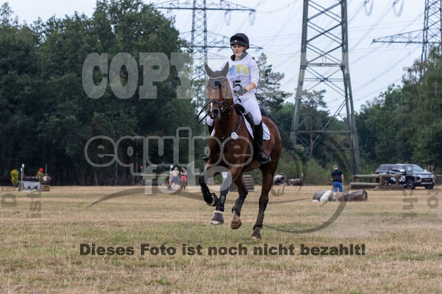 Late-Entry Vielseitigkeit Hamminkeln/Wesel (01.+02.08.2020)