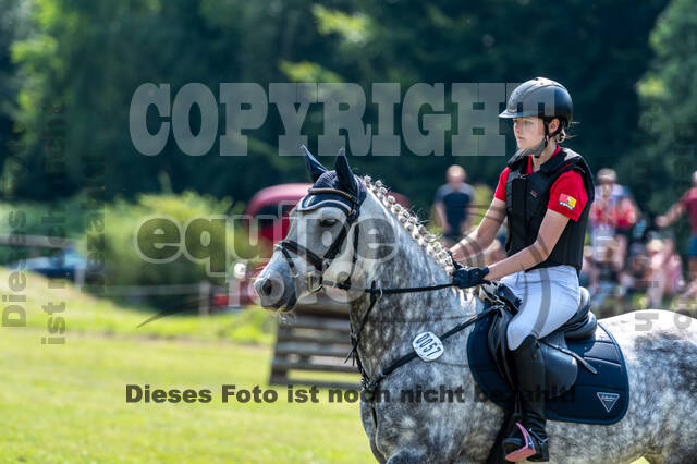 Goldene Schärpe 2021 - Ponys
