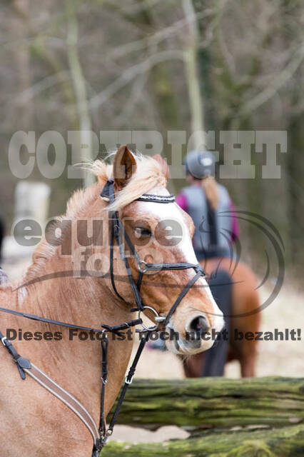 Geländetraining RSV St. Hubertus Wesel Obrighoven (10.+11.03.2018)