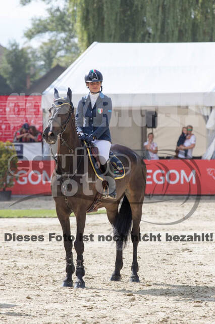 FEI European Championship