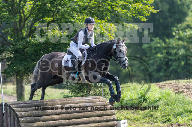 Goldene Schärpe 2021 - Ponys