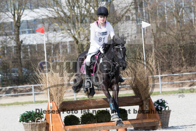 Eventing Langenfeld 2018