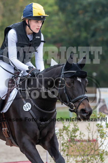 Goldene Schärpe 2020 - Pferde