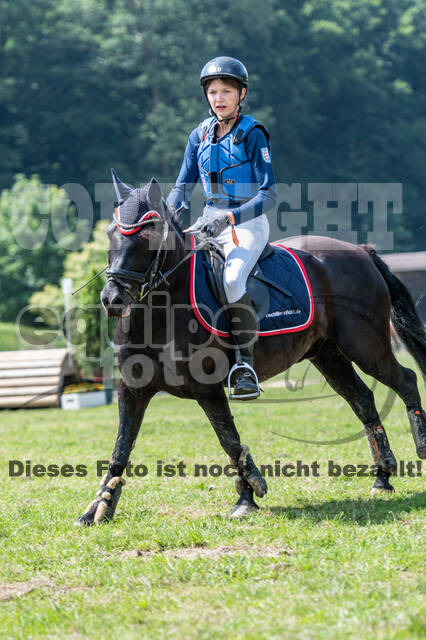 Goldene Schärpe 2021 - Ponys