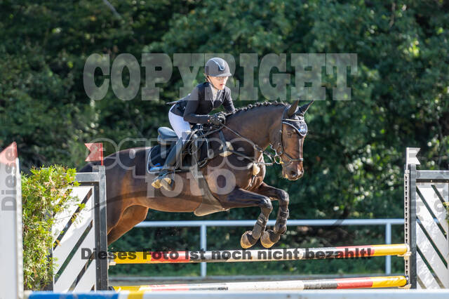 RFV Dinslaken-Hiesfeld (Herbstturnier)