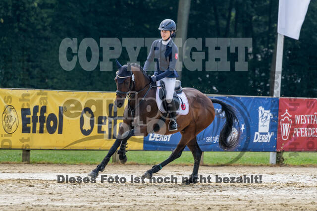 Goldene Schärpe 2021 - Ponys