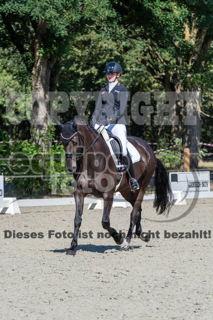 Kronenberg - De Peelbergen (August 2020)