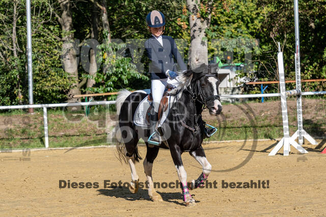 RFV Dinslaken-Hiesfeld (Herbstturnier)