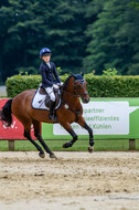 Goldene Schärpe 2021 - Ponys