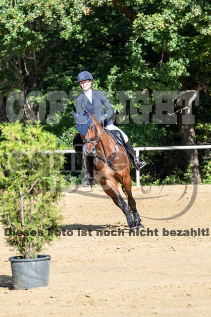 RFV Dinslaken-Hiesfeld (Herbstturnier)