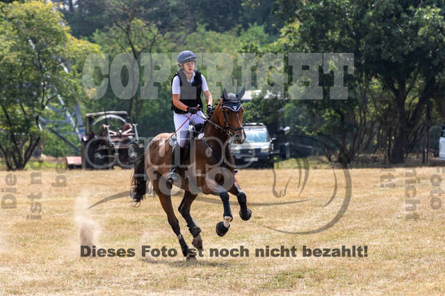 Late-Entry Vielseitigkeit Hamminkeln/Wesel (01.+02.08.2020)