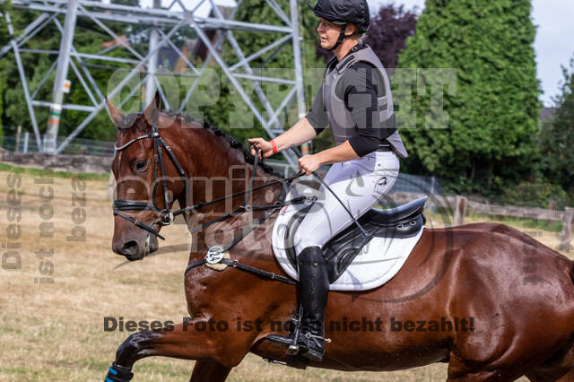 Late-Entry Vielseitigkeit Hamminkeln/Wesel (01.+02.08.2020)