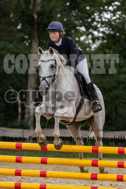 Vielseitigkeit RSV Wesel Obrighoven (26.+27.09.2020)