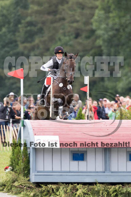 FEI European Championship Eventing 2017