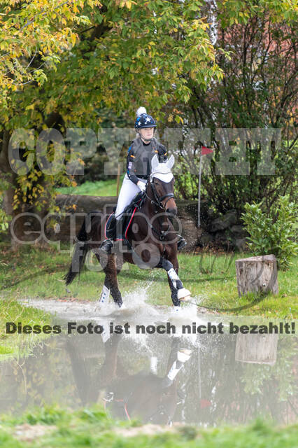 Goldene Schärpe 2020 - Pferde