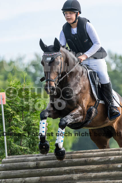 Goldene Schärpe 2021 - Ponys