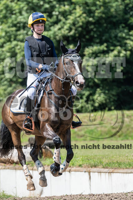 Goldene Schärpe 2021 - Ponys