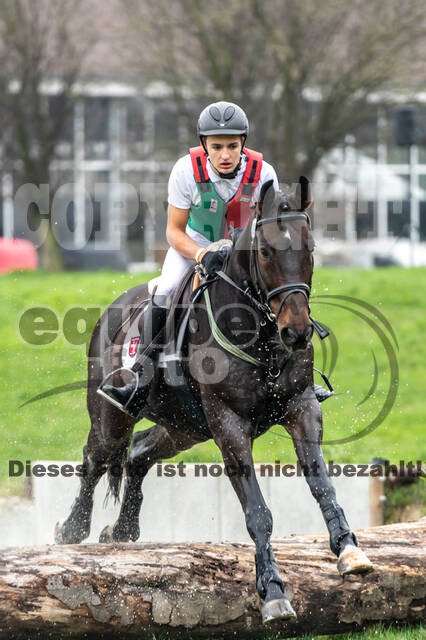 Goldene Schärpe 2020 - Pferde