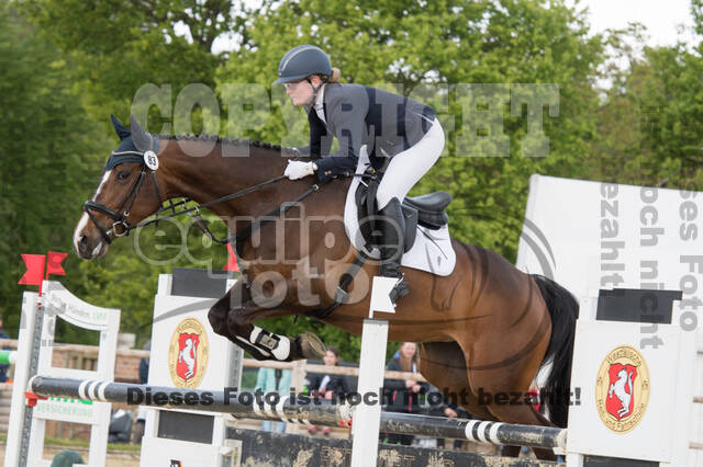 Sterne über Münster 2019 - CCI***S