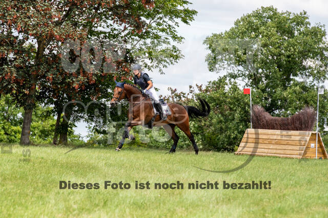 Bonn-Rodderberg Late-Entry-Vielseitigkeit (30.06.2020)