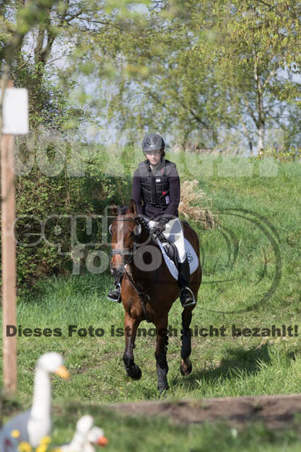 Vielseitigkeitsturnier RV Lippe-Bruch-Gahlen