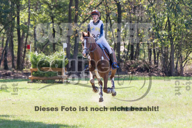 Vielseitigkeitsturnier RSV St. Hubertus Wesel Obrighoven