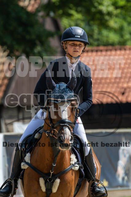 Goldene Schärpe 2021 - Ponys