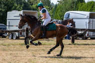 Late-Entry Vielseitigkeit Hamminkeln/Wesel (01.+02.08.2020)