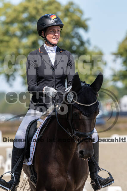 Kronenberg - De Peelbergen (August 2020)