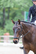 Eventing WRFS Münster