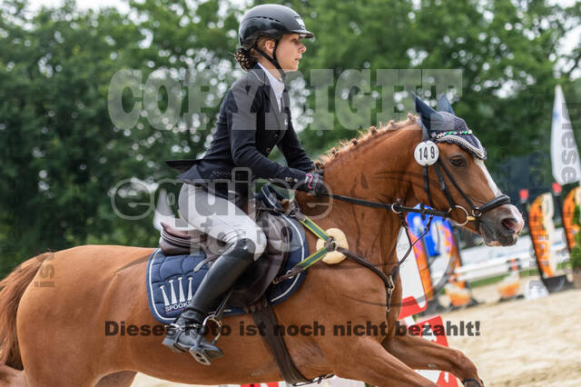 Goldene Schärpe 2021 - Ponys