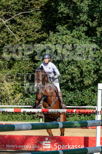 RFV Dinslaken-Hiesfeld (Herbstturnier)