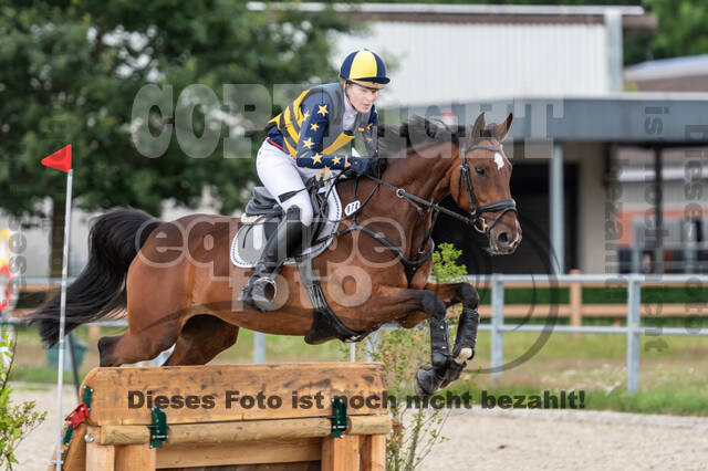 Late-Entry-Vielseitigkeit Langenfeld (06.+07.07.2020)