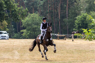 Late-Entry Vielseitigkeit Hamminkeln/Wesel (01.+02.08.2020)