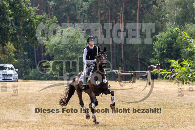 Late-Entry Vielseitigkeit Hamminkeln/Wesel (01.+02.08.2020)