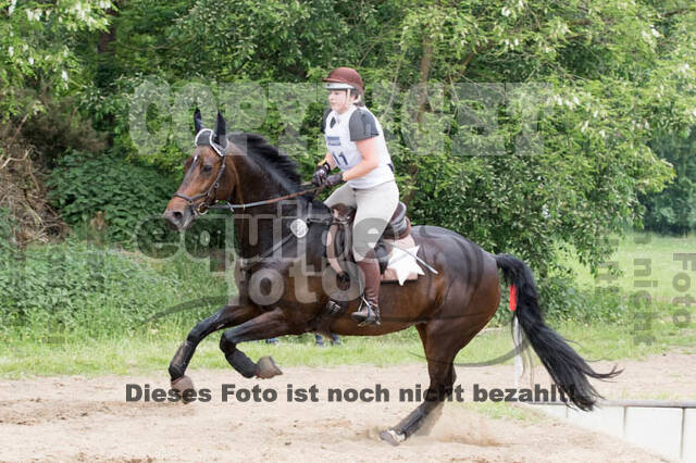 Vielseitigkeitsturnier ZRFV von Lützow Hamminkeln