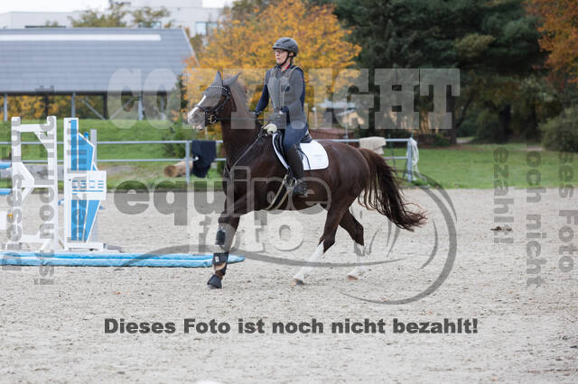 IGV Lehrgang der Sieger der Cups mit Frank Ostholt