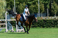 Kronenberg - De Peelbergen (August 2020)