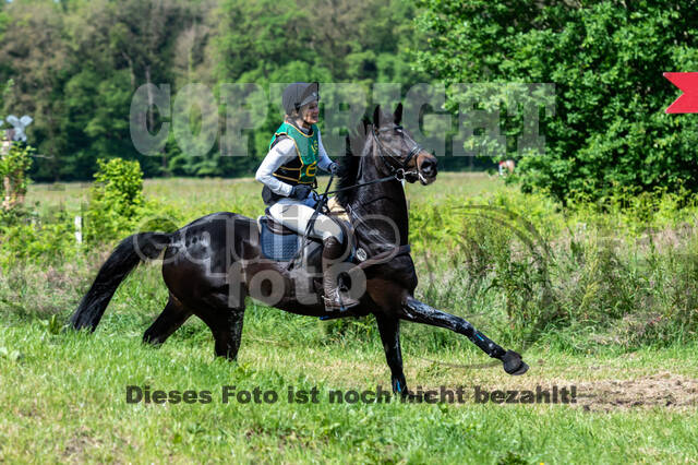 Westerstede Horse Trials (10.-13.06.2021)