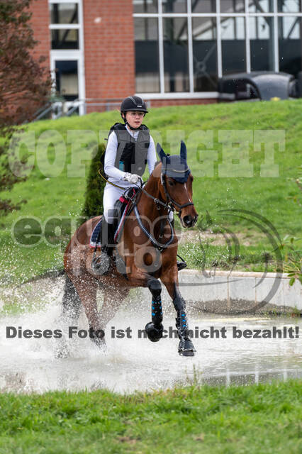 Goldene Schärpe 2020 - Pferde