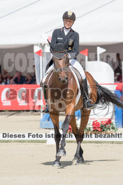 FEI European Championship Eventing 2017