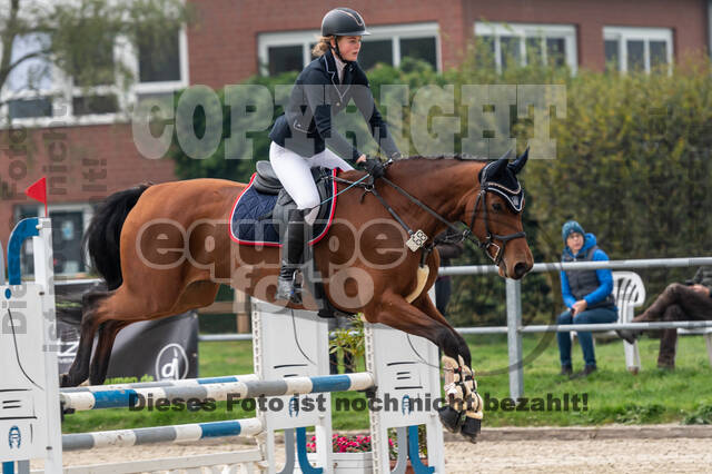 Goldene Schärpe 2020 - Pferde