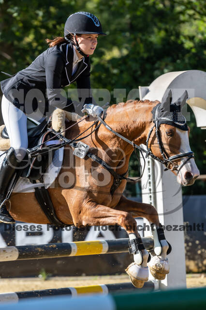 RFV Dinslaken-Hiesfeld (Herbstturnier)