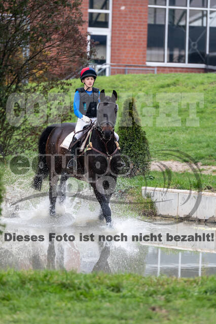 Goldene Schärpe 2020 - Pferde