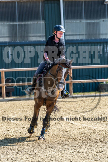 Geländetraining ZRFV Hamminkeln (09.05.2021)