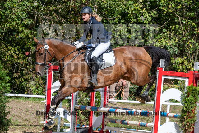 RFV Dinslaken-Hiesfeld (Herbstturnier)
