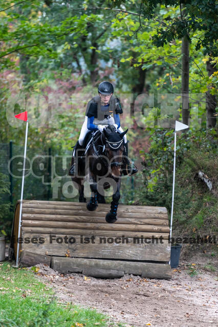 Goldene Schärpe 2020 - Pferde