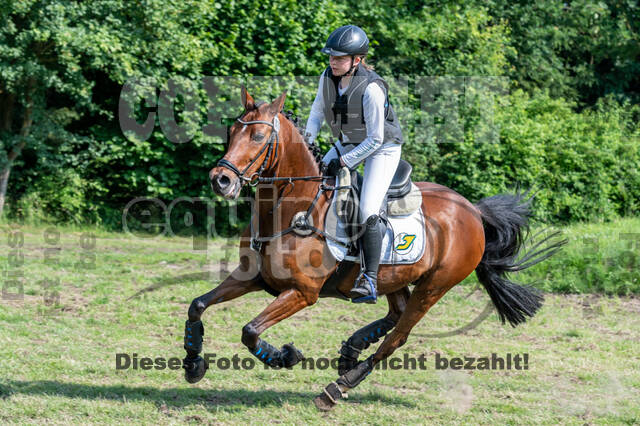 Goldene Schärpe 2021 - Ponys