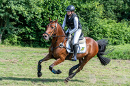 Goldene Schärpe 2021 - Ponys