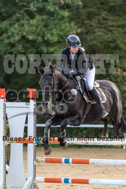 RFV Dinslaken-Hiesfeld (Herbstturnier)